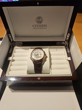 Citizen Men's Eco Drive Limited Edition Watch