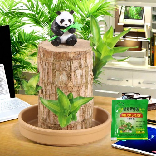 Mini Brazilian Wood Hydroponic Potted Plant Stump (10ml | Lucky Charm & Air-Puri