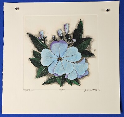 Dan Mitra Signed Numbered ''Night Shade''  Hand Colored Etching