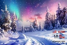 Blue 10x8ft Winter Wonderland Backdrop for Photography
