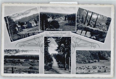 50582570 - 5501 Rothesuette Settlement, Lake, Cow Pasture