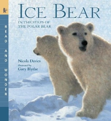 Nicola Davies Ice Bear: In the Steps of the Polar Bear (Paperback) (UK IMPORT)