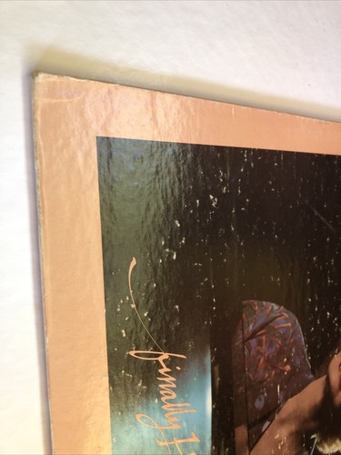 Sharalee Vinyl LP Finally Him Finally Me 1980 Greentree Christian Xian VG+/G- - Picture 7 of 8