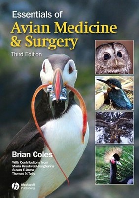 Essentials of Avian Medicine and Surgery | englisch