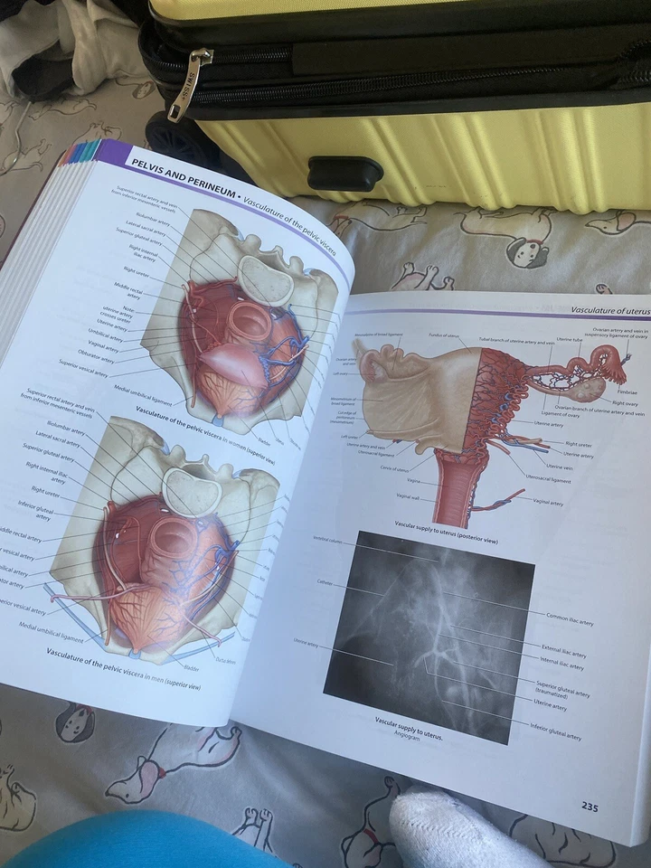 Gray’s Atlas Of Anatomy - Image 4 of 4