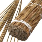 Bamboo Canes Garden Plant Flower Support Thick Stake Natural Stick Cane Pole