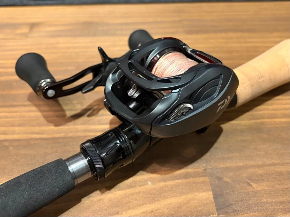 Daiwa Catalina In Baitcasting Fishing Reels for sale | eBay