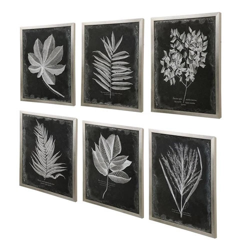 Uttermost Foliage Plastic Glass and Wood Framed Prints in Multi-Color (Set of 6) - Picture 3 of 9