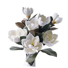 3Pcs Artificial Magnolia Flowers, 29.5" Long Magnolia Stem Flower, Faux White