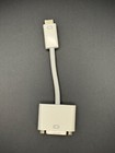 Apple Mini DVI to DVI Adapter