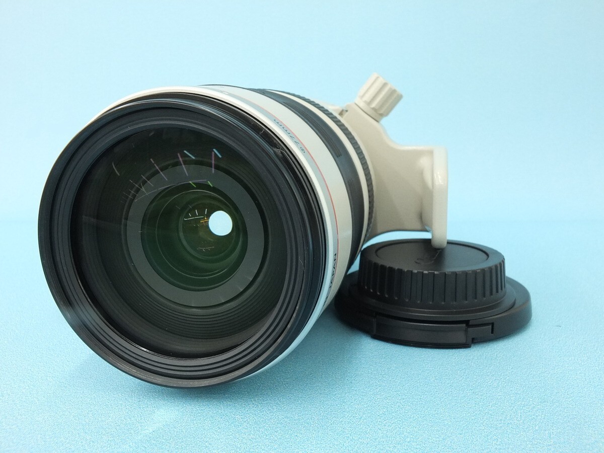 Near Mint Canon EF 28-300mm F/3.5-5.6 L IS USM Zoom Lens
