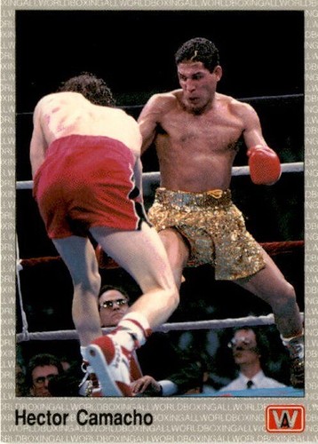 Vintage AW Sports 1991 All World Boxing Premier Edition Single Cards - You Pick - Picture 14 of 225