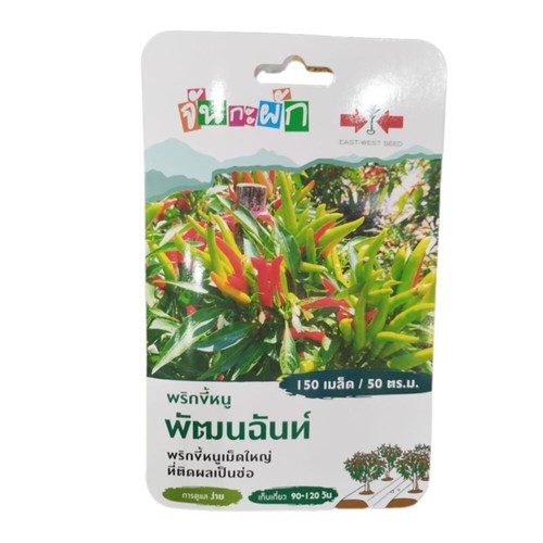 Chili pepper - Phatthanachan Sorndaeng brand x6pcs - Picture 2 of 9