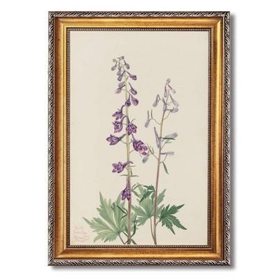 Purple Flowers Botanical Art Wall Art Canvas Oil Paintings Reproduction