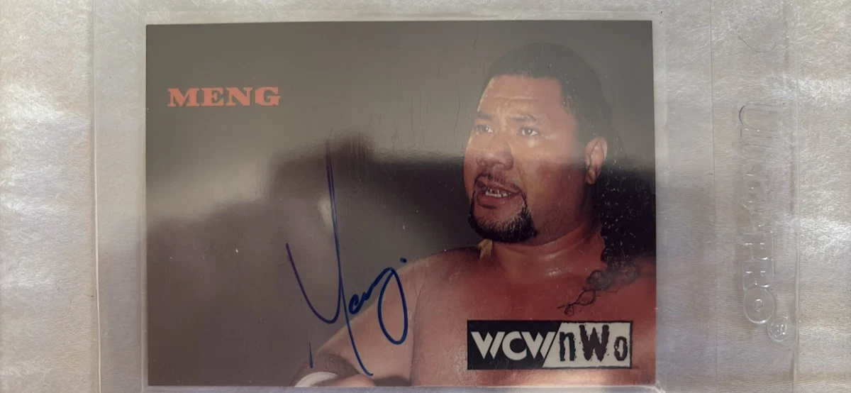 World Wrestling Championship (WCW) Wrestling Autographed Sports