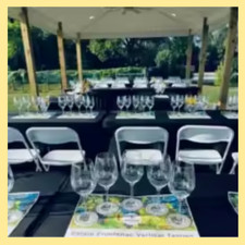 Sedie Pieghevoli Bianche Confezione da 10,Sedie Portatili per Eventi,Sedia Pieghevole in Plastica