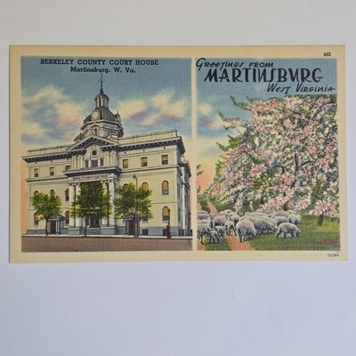 Berkeley County Court House Martinsburg West Virginia Postcard Greetings Split