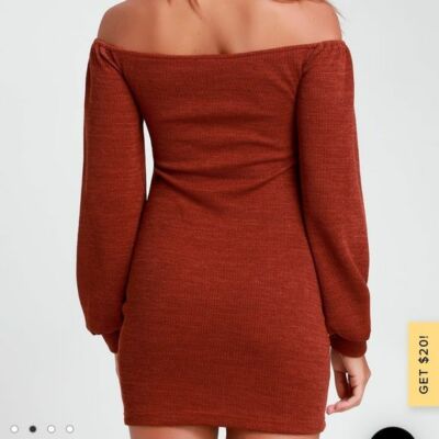 open lace back dress Olga Bodycon Dress in Mesh Toffee