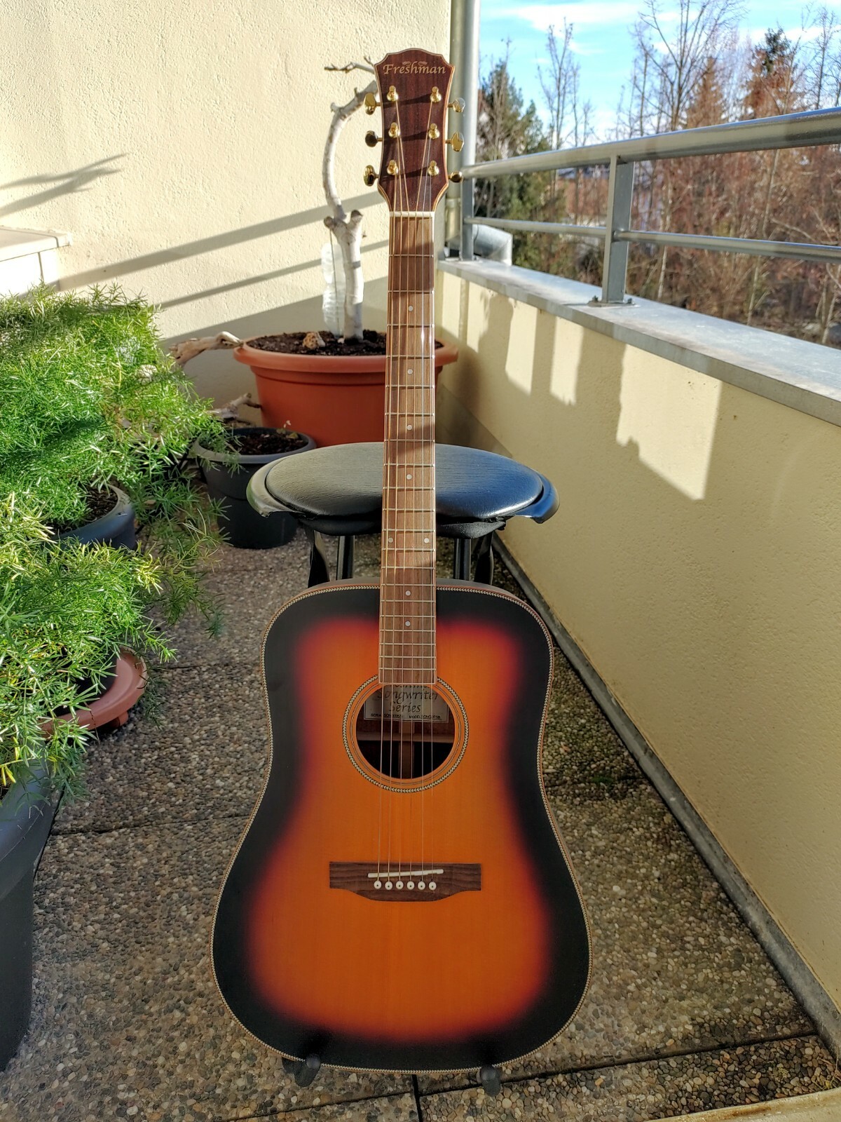 Guitare acoustique Freshman SONGDTSB idéale pour animer vos soirées entre amis