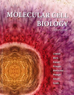 Molecular Cell Biology - hardcover Lodish, Harvey|Berk, Arnold|Kaiser, Chris...