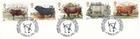 Cattle GB Used stamps ex FDC Chillingham Bull Alnwick (b) 1984 ON PIECE (148826)
