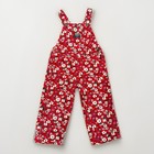 Imagen 1 de 5