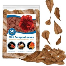 SunGrow 50 Pcs Mini Catappa Indian Almond Leaves for Betta Fish Aquarium, Shrimp