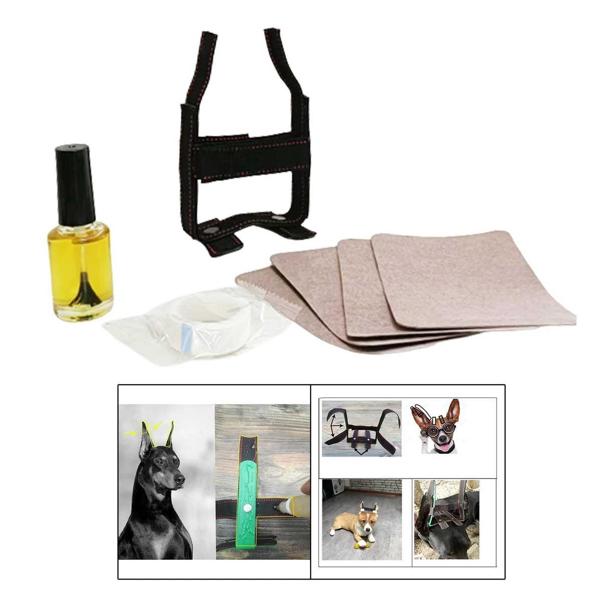 Doberman 2025 ear supports