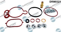 Dr.Motor Automotive DRM0321 Reparatursatz, Unterdruckpumpe (Bremsanlage) For VW