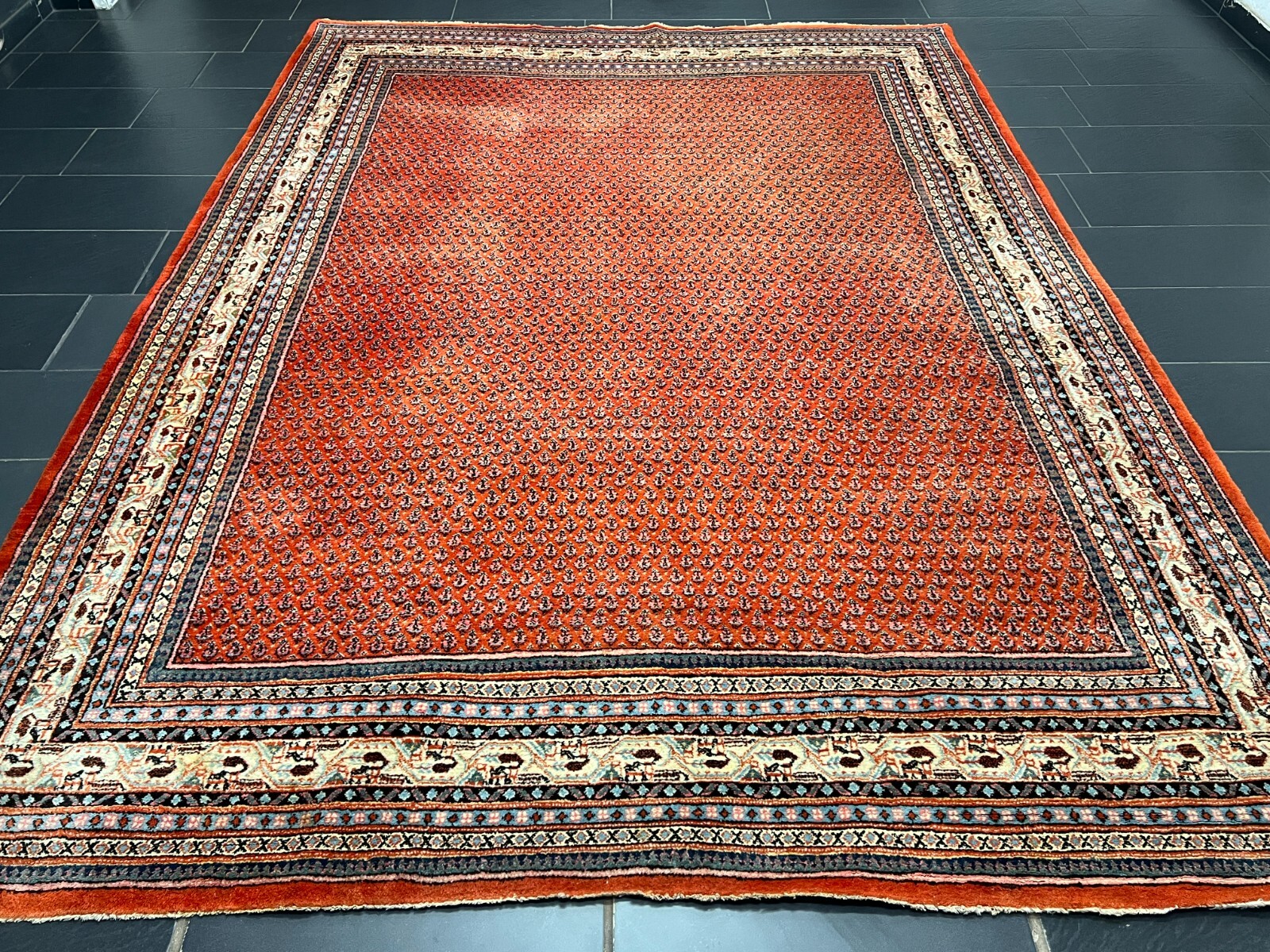 Picture 5 of 23