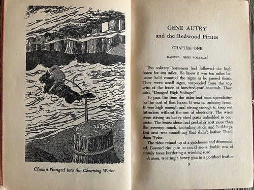 Gene Autry and the Redwood Pirates Vintage Hardcover Book 1946 Cowboy Authorized - Picture 9 of 16