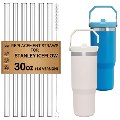 Stanley Iceflow Flip Straw