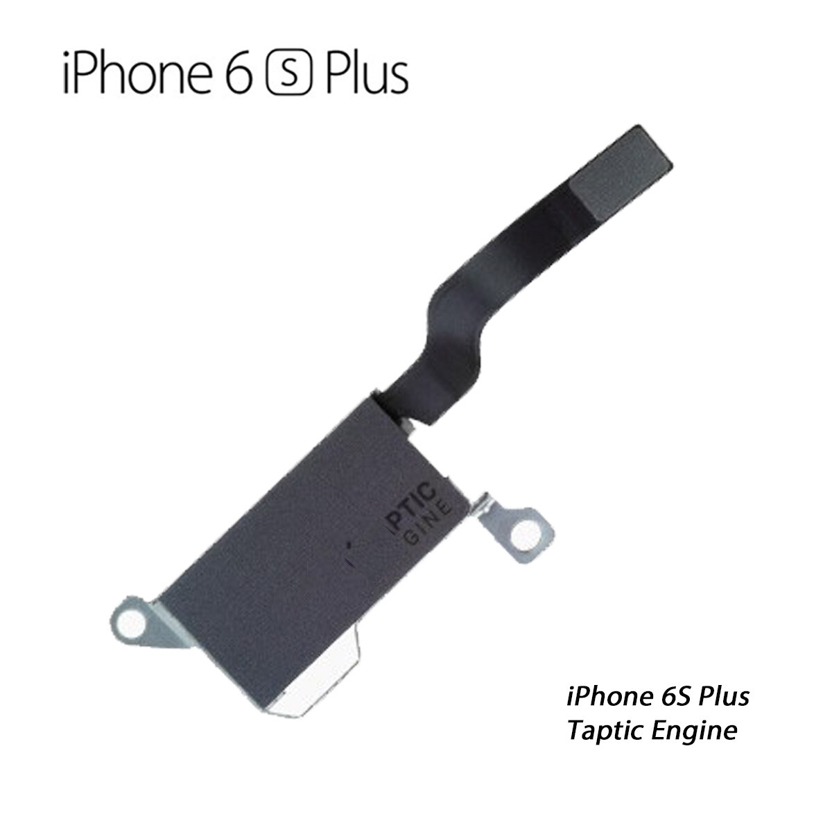 iPhone 6S, 6S Plus, 7, 8, 7 Plus, 8 Plus, X, XR, XS, XS Max Taptic