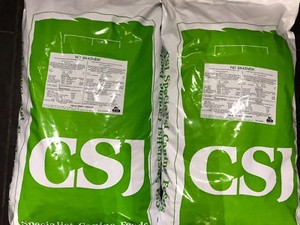 collapsible pet enclosure