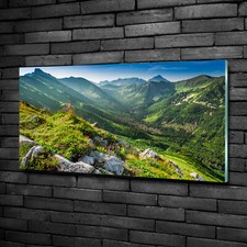Acrylglas-Bild Wandbilder Druck 100x50 Deko Landschaften Berge Tatra