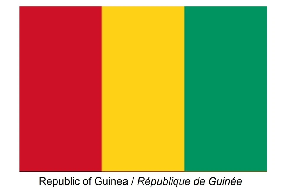 REPUBLIC OF GUINEA, Replublic de Guinee Mix Lot of 25 Vintage POSTAGE STAMPS #12 - Image 4 of 4