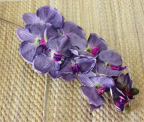 4 Bunch Latex Real Touch Artificial White Butterfly Orchids Flower For Home - Picture 27 of 68
