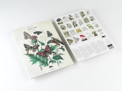 Natural History | Pepin Van Roojen | deutsch