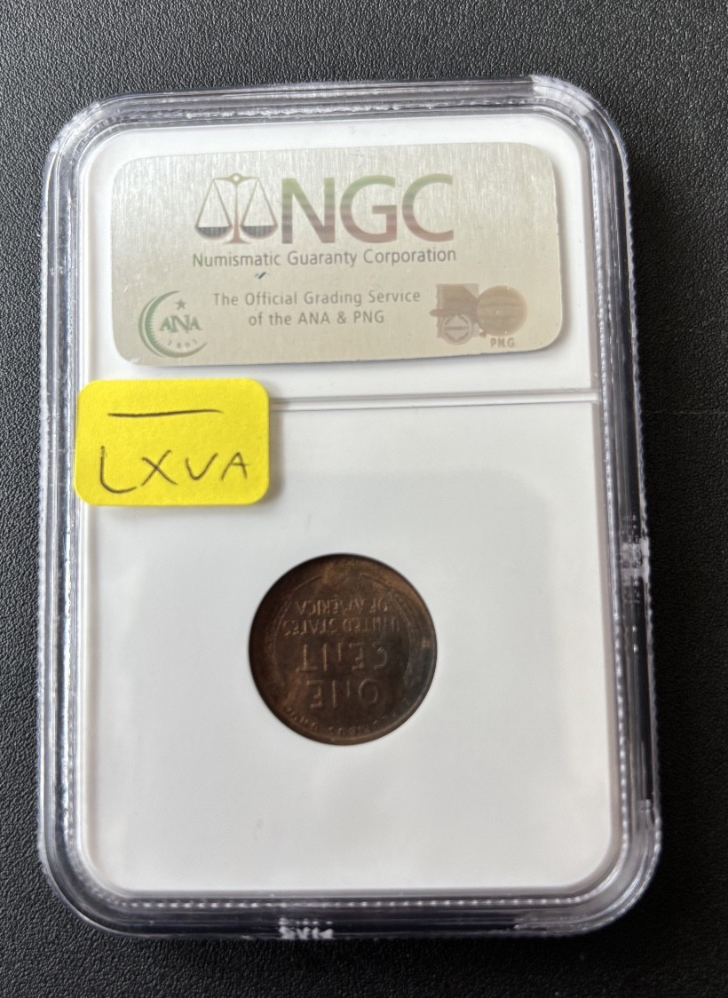 cientページ 1909 VDB WHEAT CENT NGC MS-64 RB - UNCIRCULATED - WHEAT PENNY - 1C