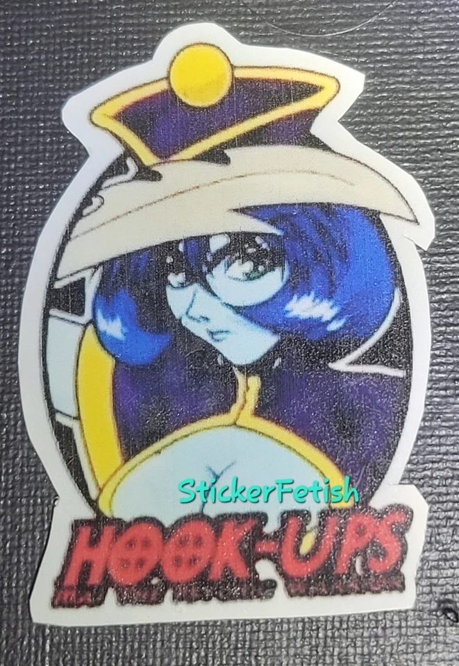 Lote de 10 pegatinas inspiradas en Hookups impresas en vinilo y juego laminado #2 Foto 3 de 4