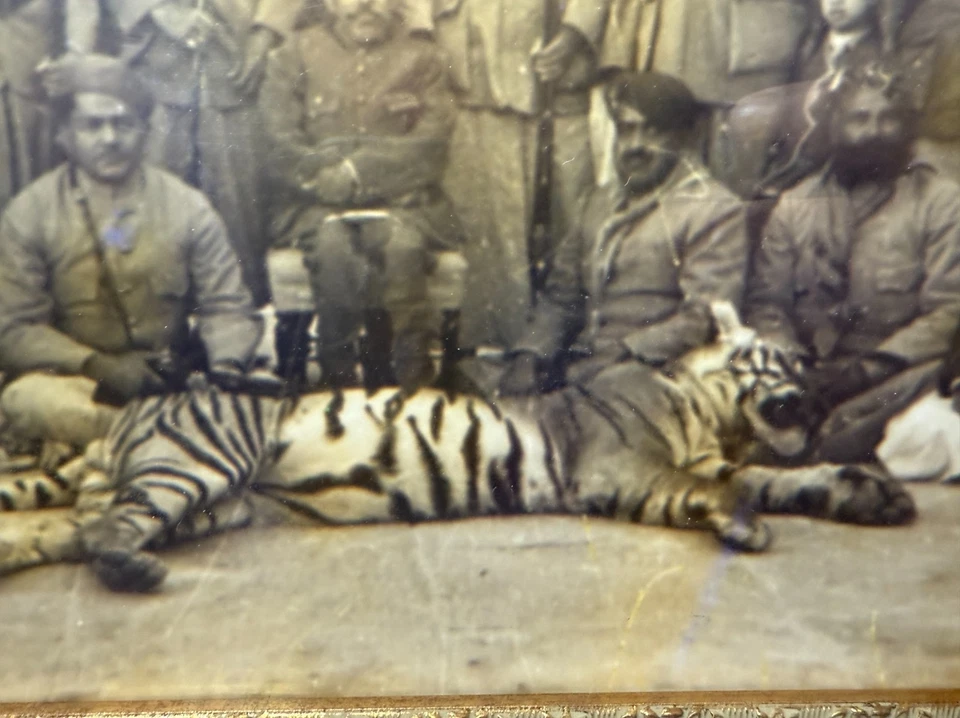 Fotografías antiguas originales del siglo XIX enmarcadas indias dobles caza de tigres sepia Foto 4 de 4
