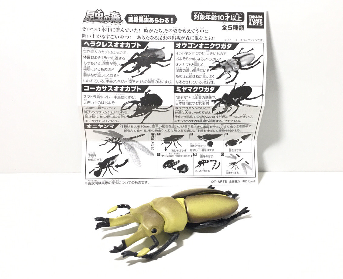 Kaiyodo Takara Tomy Arts Golden Stag Beetle Insect PVC