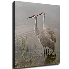 Pair of Sandhill Cranes in The Water Stretched Poster Canvas Painting Wall Art