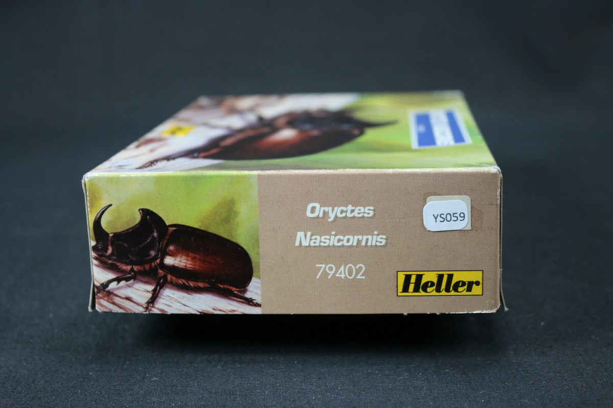 Les Insectes – Oryctes nasicornis – Zadi Bridge