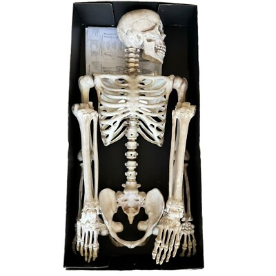 ✨新品✨BONEZ ボーンズ　500体限定　フィギュア　数量限定品 Crazy Bonez Pose-N-Stay Skeleton Original Pose-N-Stay | eBay