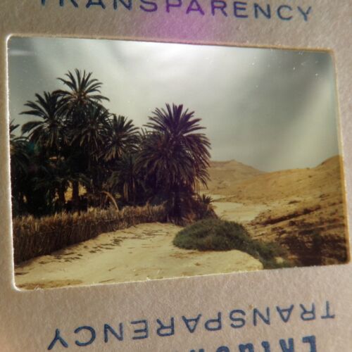 Lot of 90 Vtg SLIDES From TUNISIA 1970s Kodak Ektachrome - Picture 14 of 14