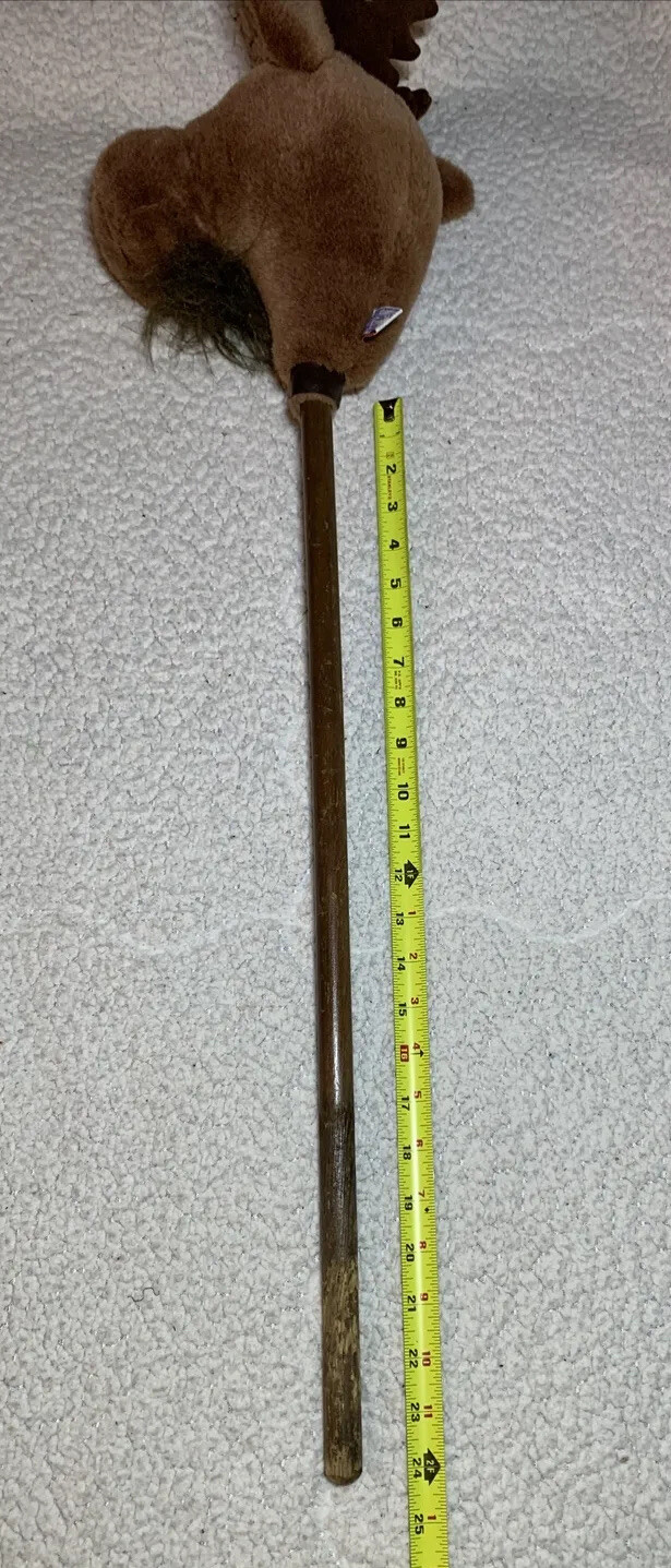Picture 11 of 11