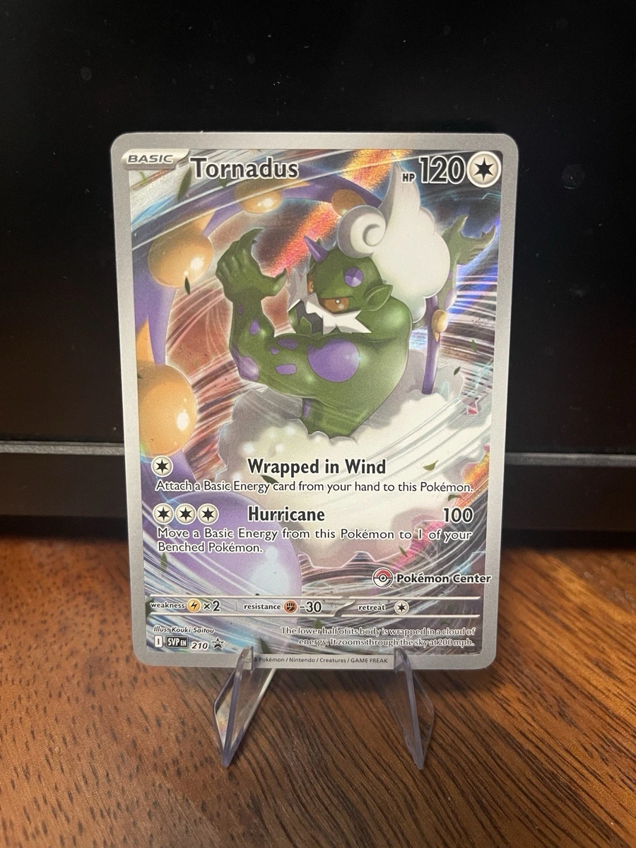 raihan pokemon trainer card Raihan' Card Collection - Collectible cards for game stores