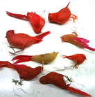 Lot of 8 Vintage Red Birds & Cardinal Decorations w/ Real Feathers — photo 7