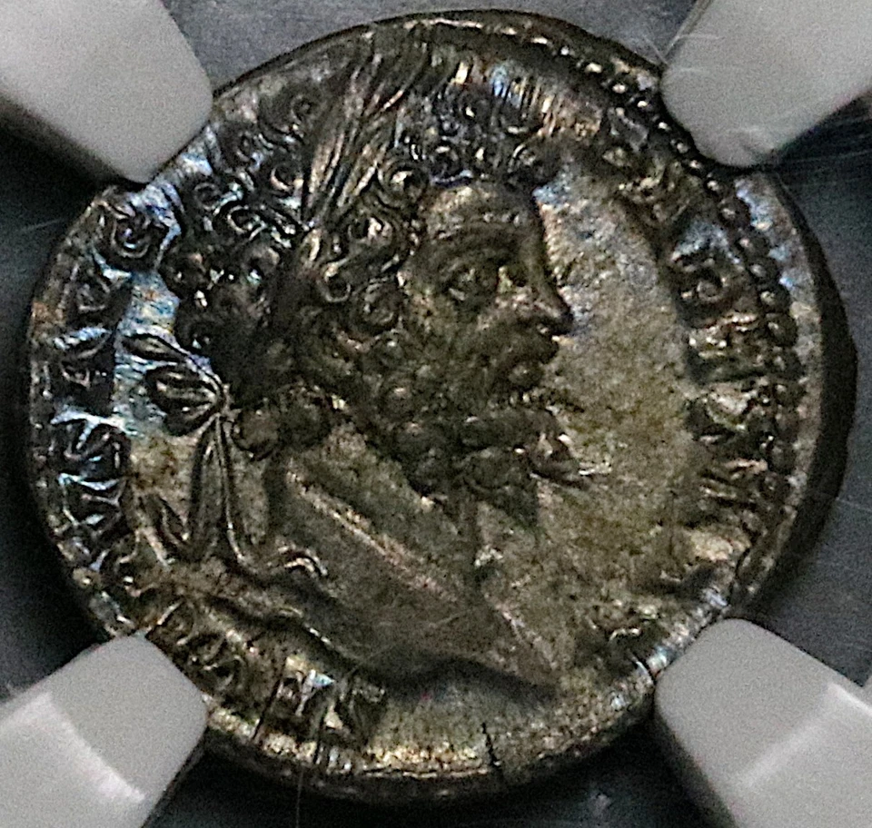 200 NGC AU Sept Severus Roman Denarius Emperor Sacrificing 5/5 5/5 (25100803C) - Image 2 of 4